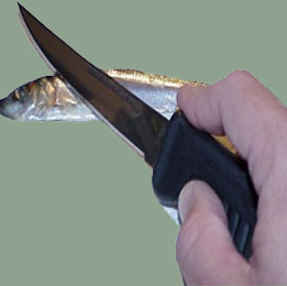 Lee County Bait Shops