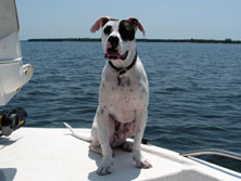 Dog Friendly - All anglers are welcome aboard with Capt. George 