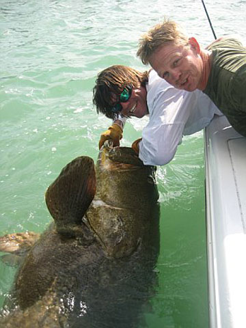 Goliath Grouper Fishing